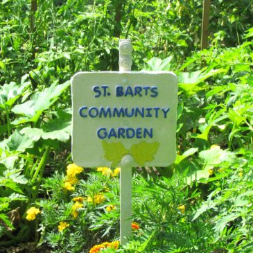 Bounty of Community Garden Helps Those In Need