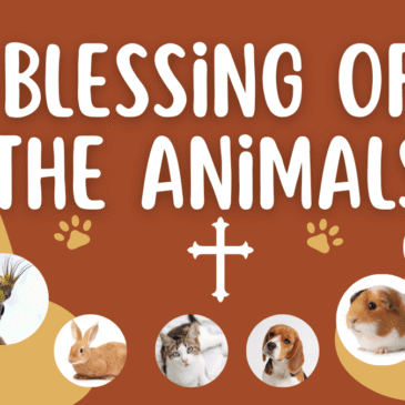 Blessing of the Animals