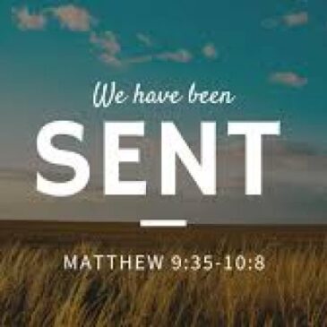 Sunday Preview The Compassion and Call of Jesus