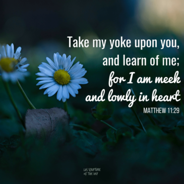 Sunday Preview: Trust in Discipleship