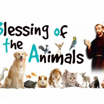 Sunday Preview-How do we care for creation and one another?